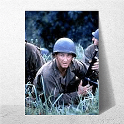 The Thin Red Line Merchandise The Thin Red Line Posters