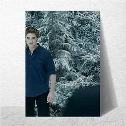 The Twilight Saga features werewolves The Twilight Saga Posters