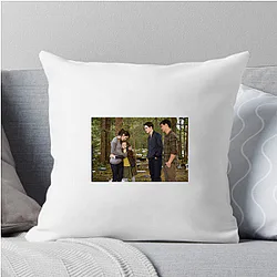 The Twilight Saga is fantasy drama The Twilight Saga Pillows Cover