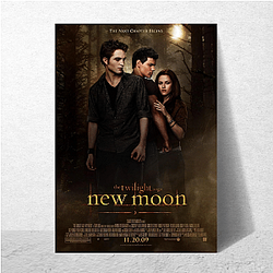 The Twilight Saga is about vampires The Twilight Saga Posters
