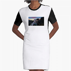 The Worlds Finest Assassin Special Collection The Worlds Finest Assassin Dresses