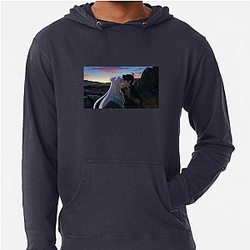 The Worlds Finest Assassin Special Collection The Worlds Finest Assassin Hoodies