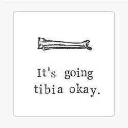 It's Going to Tibia