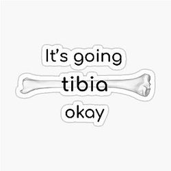 It's going to Tibia okay sticker