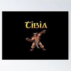 Tibia MMORPG Druid Poster