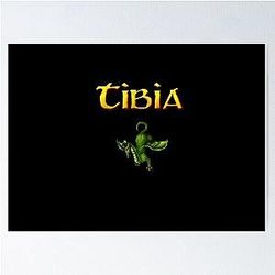 Tibia MMORPG Dragon Poster