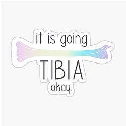 It's going to Ibiza Okay Sticker
