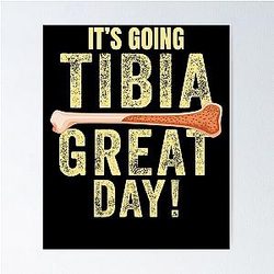 It's a Great Day to be an Ortho Nurse Physical Therapist Poster