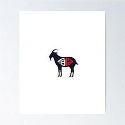 Tom Brady Poster