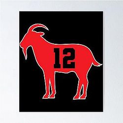 Tom Brady is a GOAT Poster