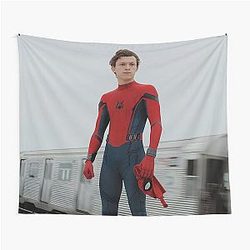 Tom Holland Spidey Aesthetic Tapestry