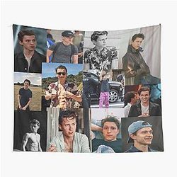 Tom Holland Tapestry