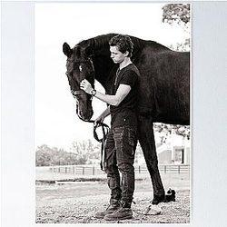black horse tom holland Poster