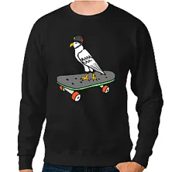 HawkFlow PTTT0806 Tony Hawk Sweatshirts