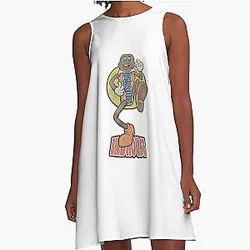 Vintage Birdhouse Tony Hawk Bird House Hook Up Skate Brand Cartoon A Line Dress