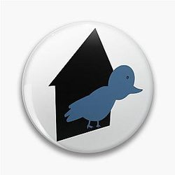 Birdhouse Inspired by Tony hawk Pin