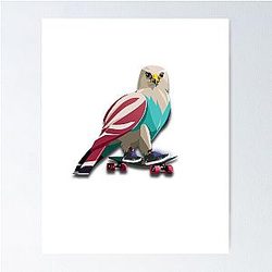 Tony Hawk Skate Poster