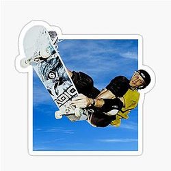 Vintage Tony Hawk's Pro Skater Sticker