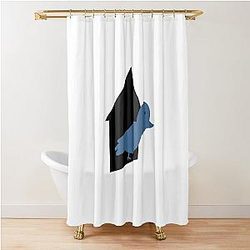 Birdhouse inspired by Tony Hawk shower curtain