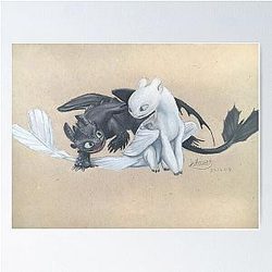 Toothless and Light Fury Poster