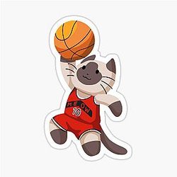 Toronto Raptors Cat - Cute NBA Cat Sticker