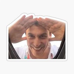 F1 Mercedes Toto Wolff Meme Sticker