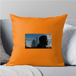 Train Dreams Limited Collection Train Dreams Pillows Cover