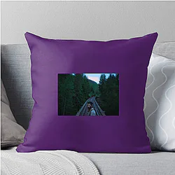 Train Dreams Merchandise For Fans Train Dreams Pillows Cover