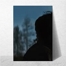 Train Dreams Limited Collection Train Dreams Posters