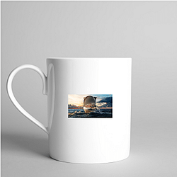 Trainwreck Poop Cruise Merch For Fans Trainwreck Poop Cruise Mugs