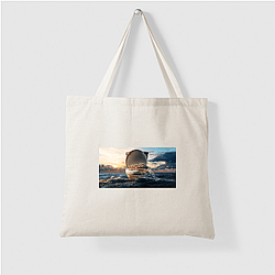 Trainwreck Poop Cruise Merch For Fans Trainwreck Poop Cruise Bags