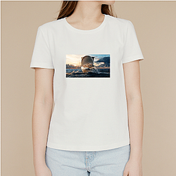 Trainwreck Poop Cruise Merch For Fans Trainwreck Poop Cruise T-Shirts