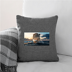 Trainwreck Poop Cruise Merch For Fans Trainwreck Poop Cruise Pillows Cover