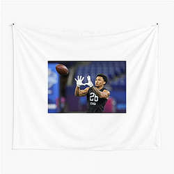 Trent Mcduffie Collection for fans Trent Mcduffie Tapestries