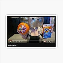 Trisha Paytas Sticker
