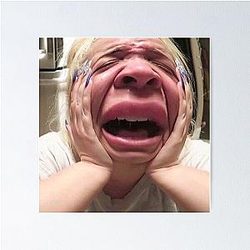 Trisha Paytas Meme Poster