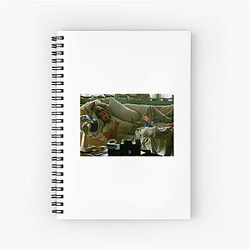True Romance is a cult classic True Romance Notebook