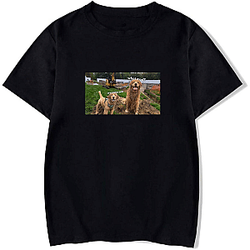 Tucker and Todd Merchandise For Fans Tucker And Todd T-Shirts