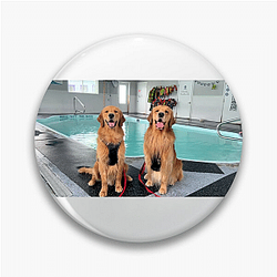 Tucker and Todd Limited Collection Tucker And Todd Pins