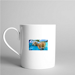 Tucker and Todd Merch Collection Tucker And Todd Mugs