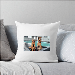 Tucker and Todd Limited Collection Tucker And Todd Pillows Cover