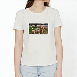 Tucker and Todd Merchandise For Fans Tucker And Todd T-Shirts