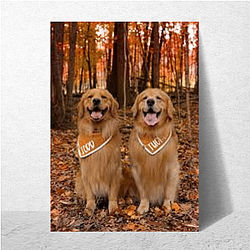 Tucker and Todd Special Collection Tucker And Todd Posters