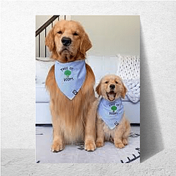 Tucker and Todd Merchandise Tucker And Todd Posters