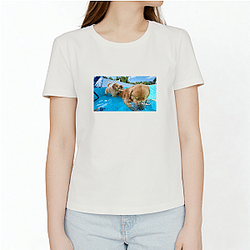 Tucker and Todd Merch Collection Tucker And Todd T-Shirts