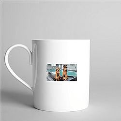 Tucker and Todd Limited Collection Tucker And Todd Mugs
