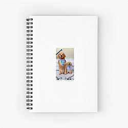 Tucker and Todd Merchandise Tucker And Todd Notebook