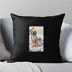 Tucker and Todd Merchandise Tucker And Todd Pillows Cover
