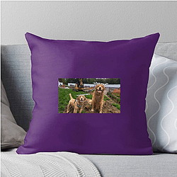 Tucker and Todd Merchandise For Fans Tucker And Todd Pillows Cover