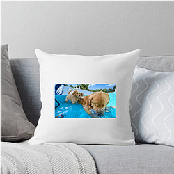 Tucker and Todd Merch Collection Tucker And Todd Pillows Cover